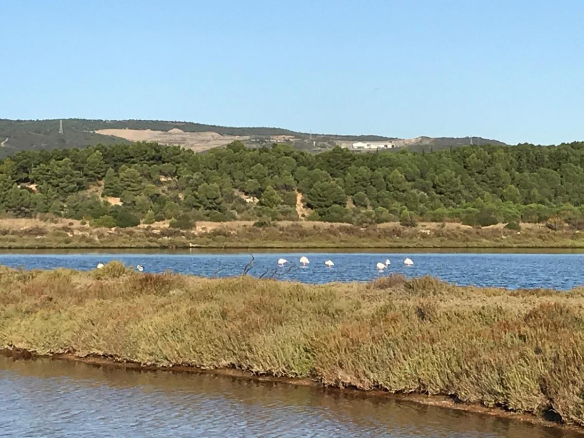 Parenthese Au Bord De L'Etang Lägenhet Bages  Exteriör bild